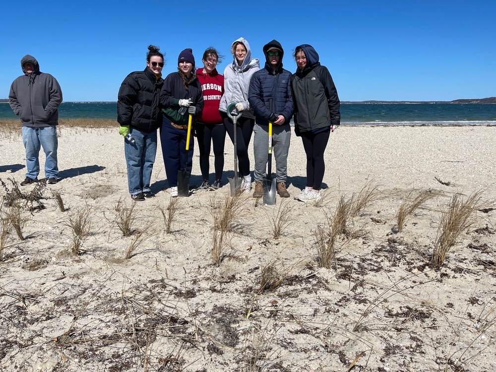 Pierson Environmental Club Helps Restore Beach Grass