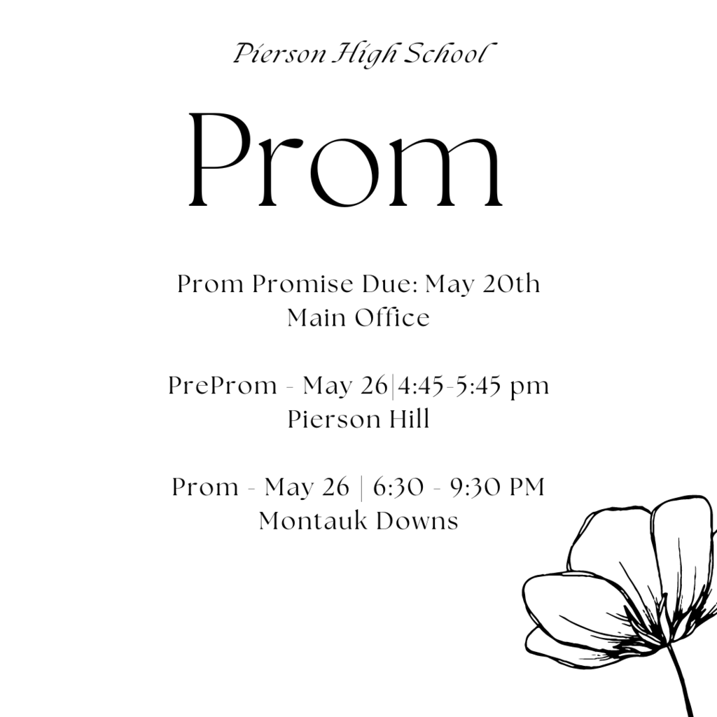Prom Promise
